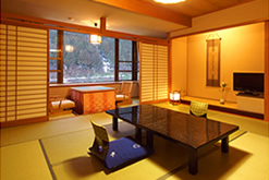 Japanese-style rooms: 22